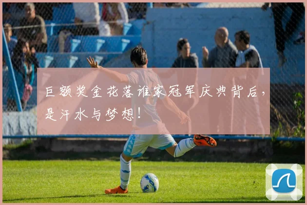 巨额奖金花落谁家冠军庆典背后,是汗水与梦想!