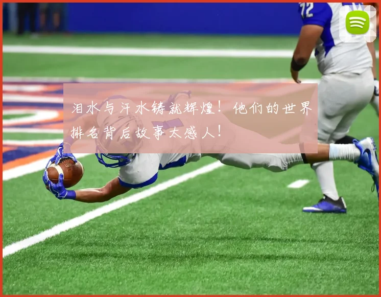 泪水与汗水铸就辉煌！他们的世界排名背后故事太感人！