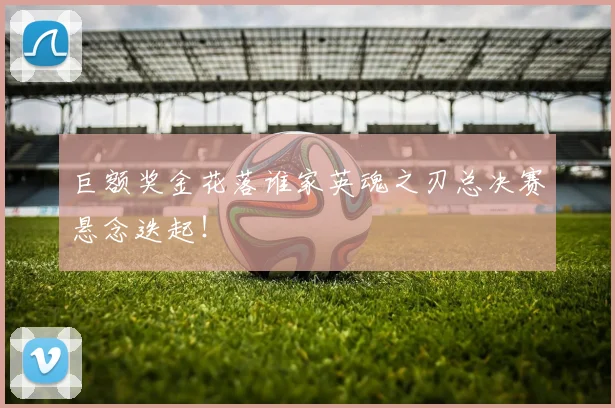 巨额奖金花落谁家英魂之刃总决赛悬念迭起！