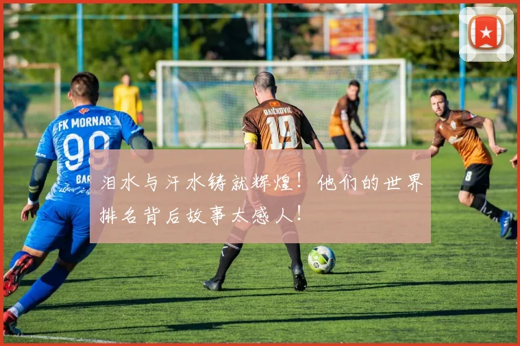 泪水与汗水铸就辉煌！他们的世界排名背后故事太感人！