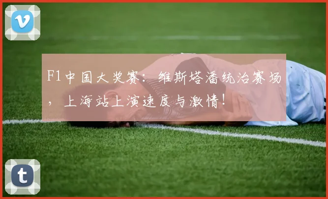 F1中国大奖赛：维斯塔潘统治赛场，上海站上演速度与激情！